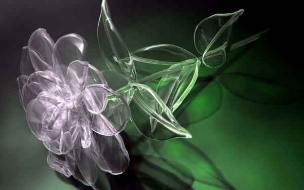 стеклянные цветы