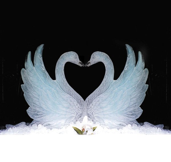 свадебные лебеди