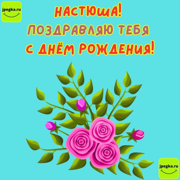 поздравление с днём рождения девушке насте