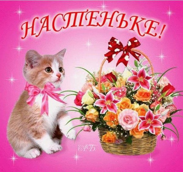 поздравление с днём рождения настеньке красивые открытки