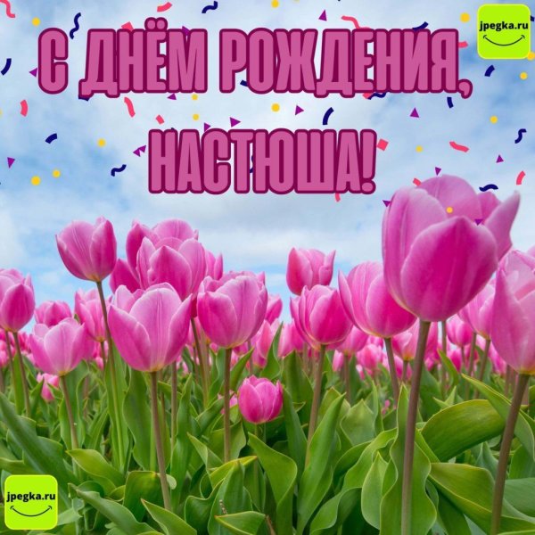 настю с днем рождения открытки