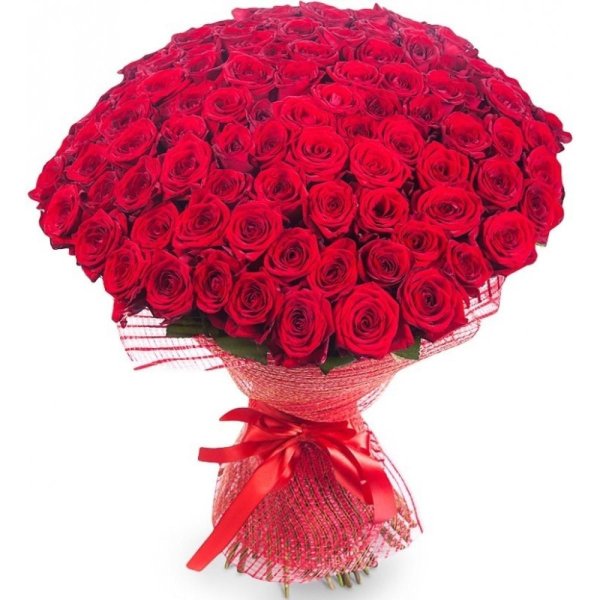 101 роза красная