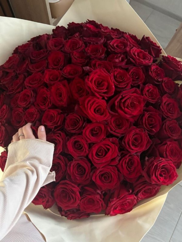 101 роза эквадор