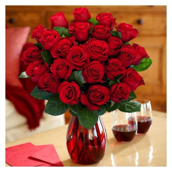 красные розы в вазе