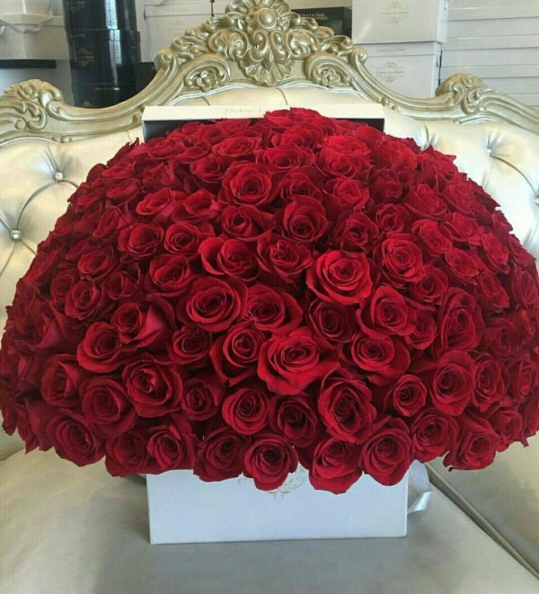 красивые большие букеты