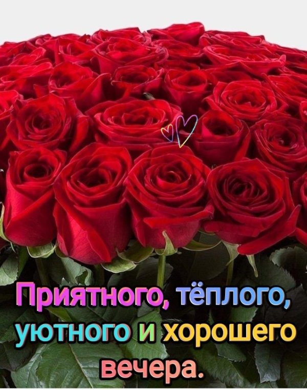 добрый вечер с розами
