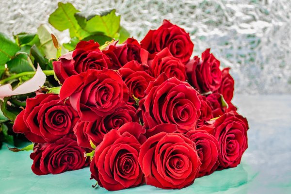шикарные красные розы