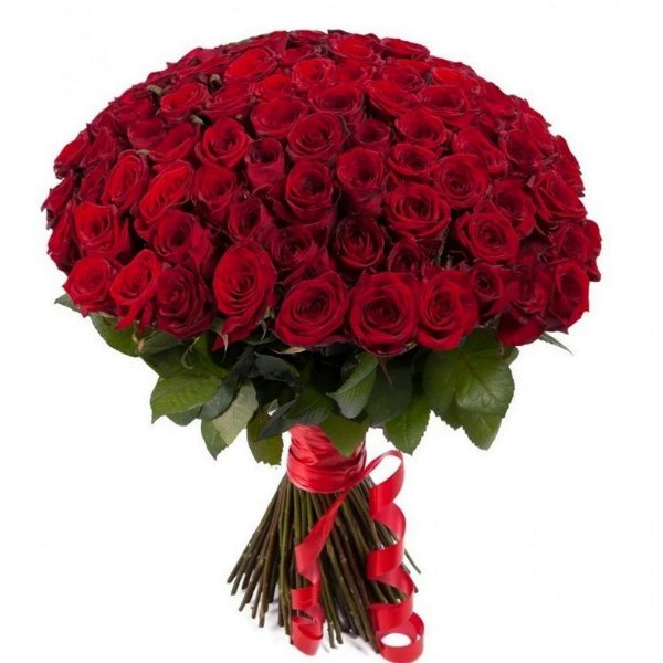 роза ред наоми