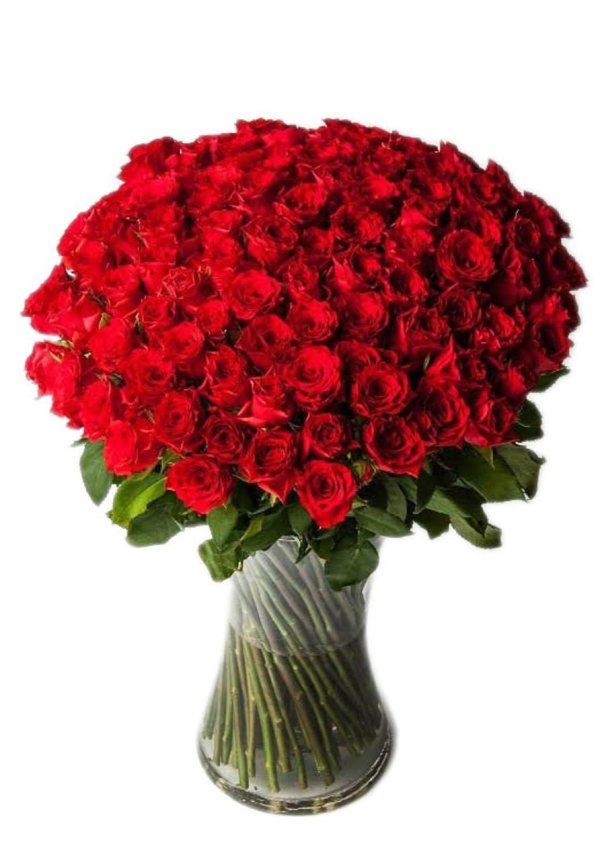 101 роза красная