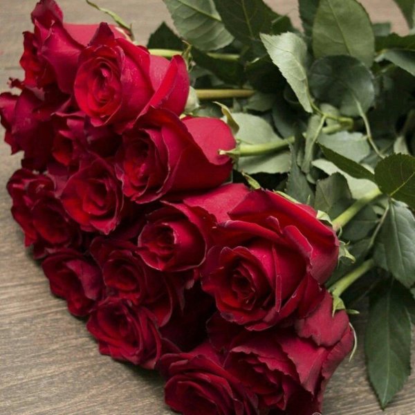 голландская роза