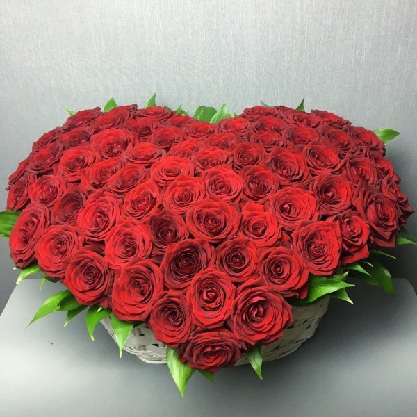 роза такази