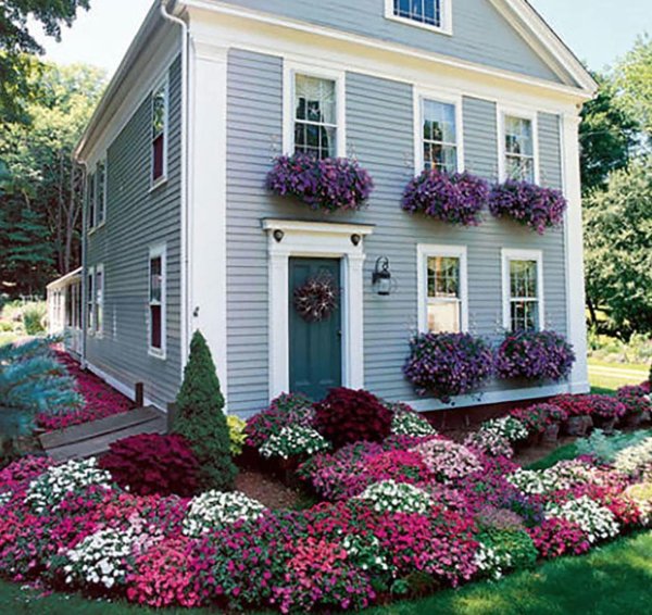 цветник перед домом