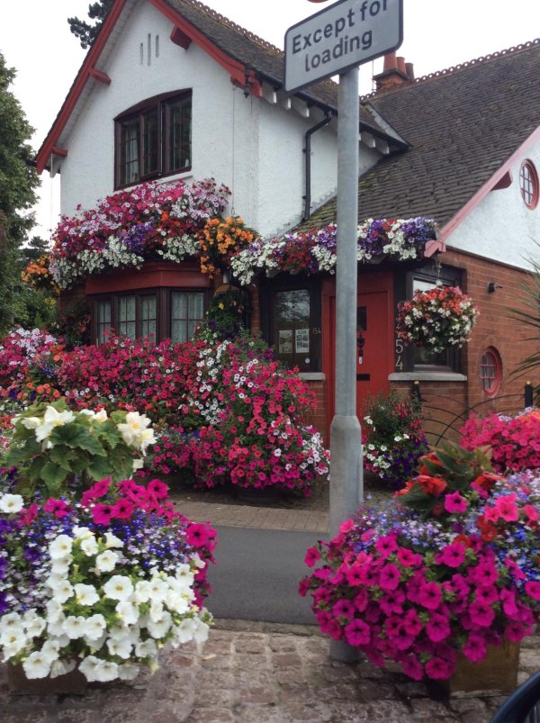 цветочный дом