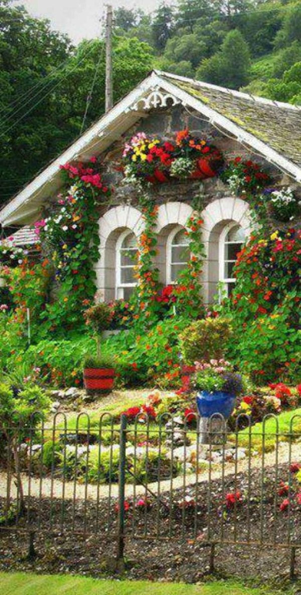 flower garden cottage