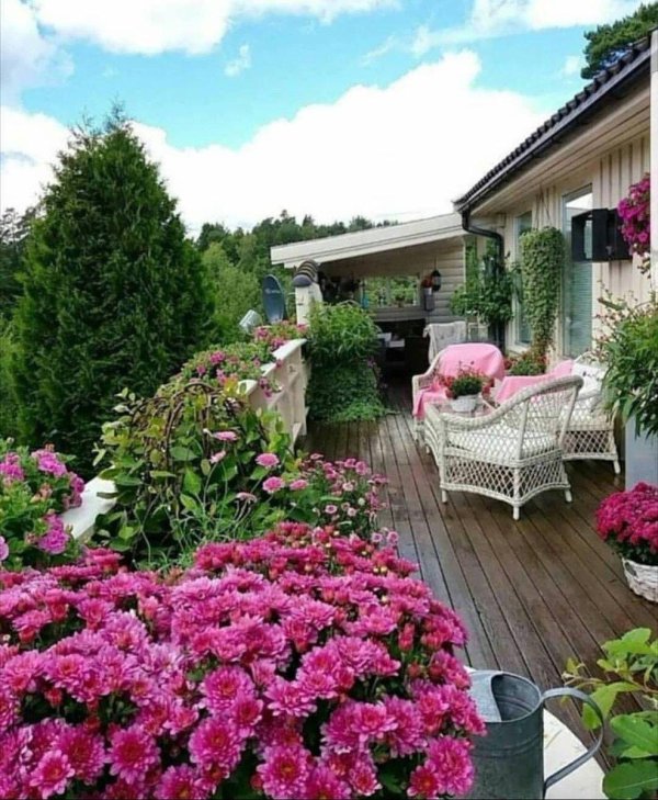 красивые сады