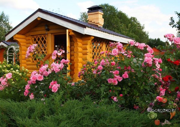 красивая дача