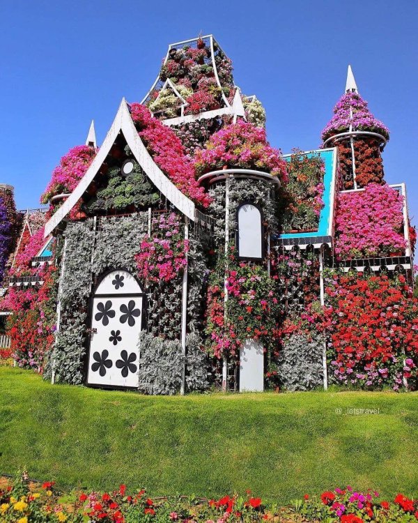 далат парк цветов