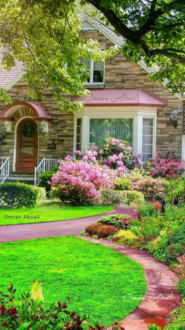 backyard landscaping