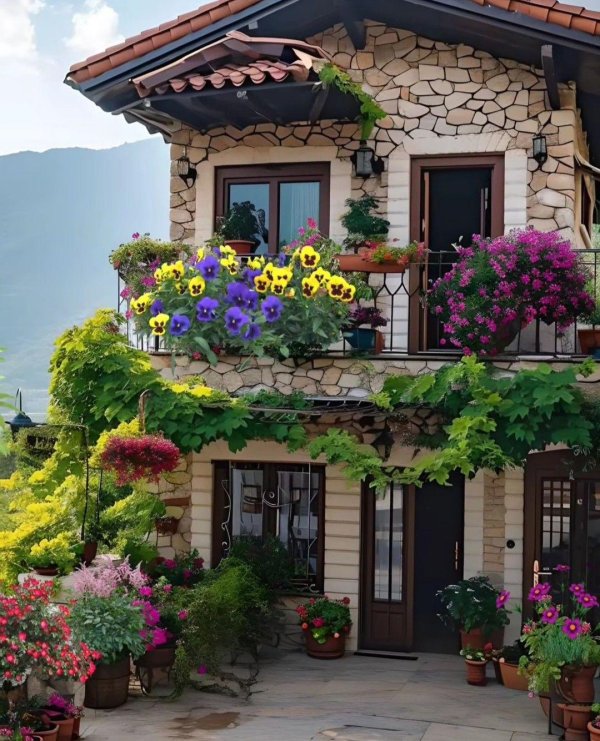 balcony flowers