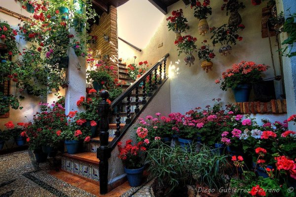 испанский дворик