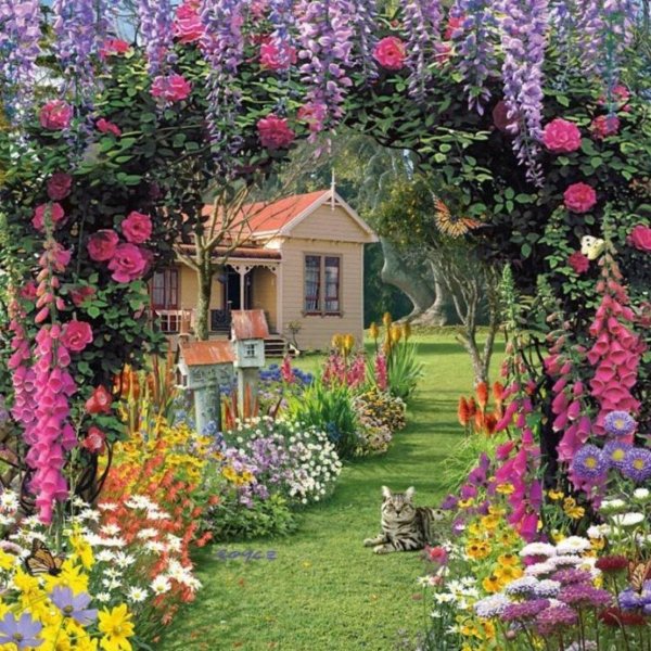 beautiful garden