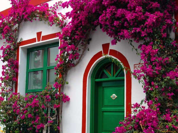 пуэрто де моган гран канария