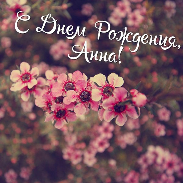 анна с днём рождения поздравления