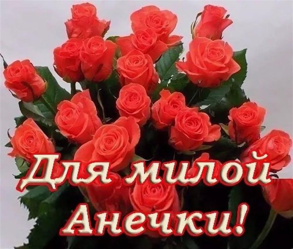 цветы для олечки