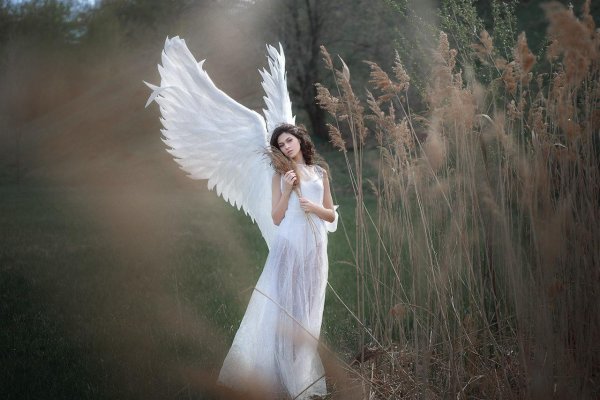 красивые ангелы