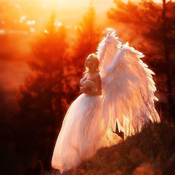 красивые ангелы