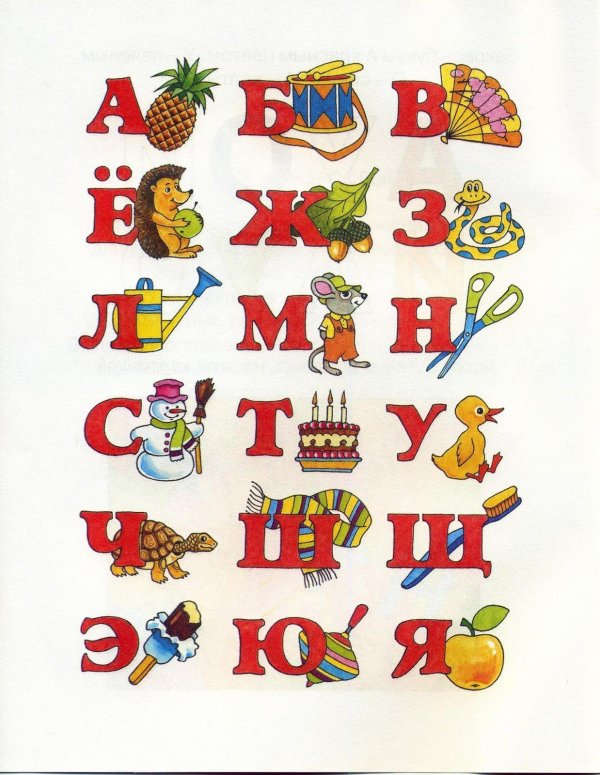 алфавит букв