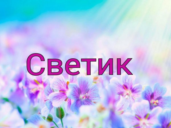 цветок фон