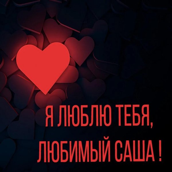 люблю тебя сашка