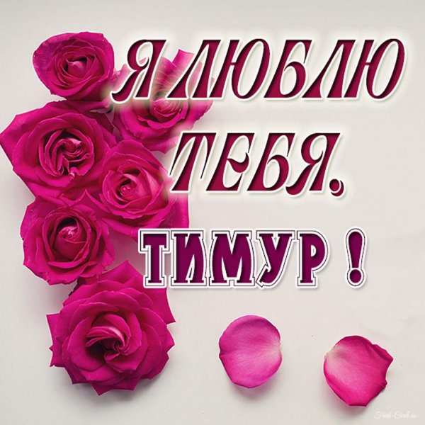 люблю тебя тимур