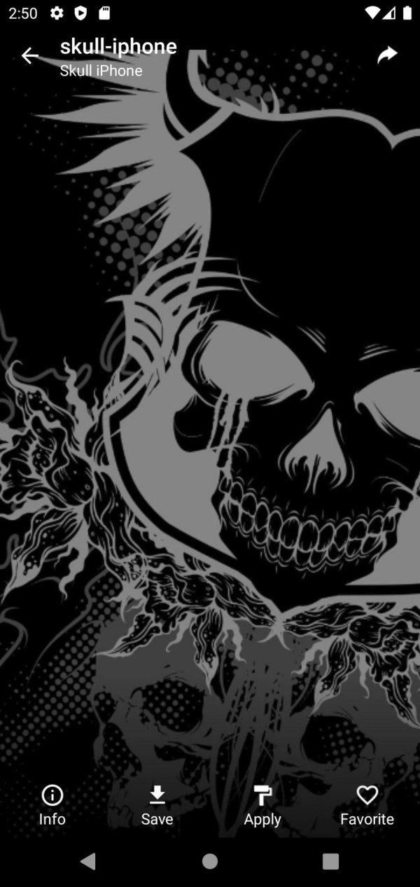 красивые черепа