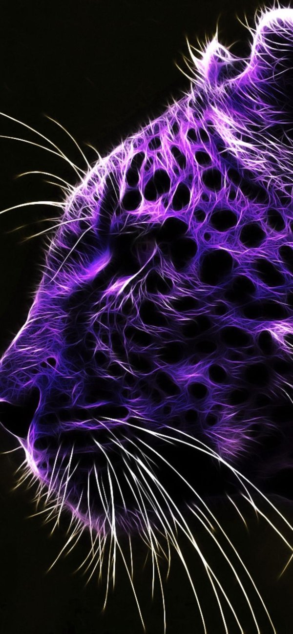 неоновый гепард