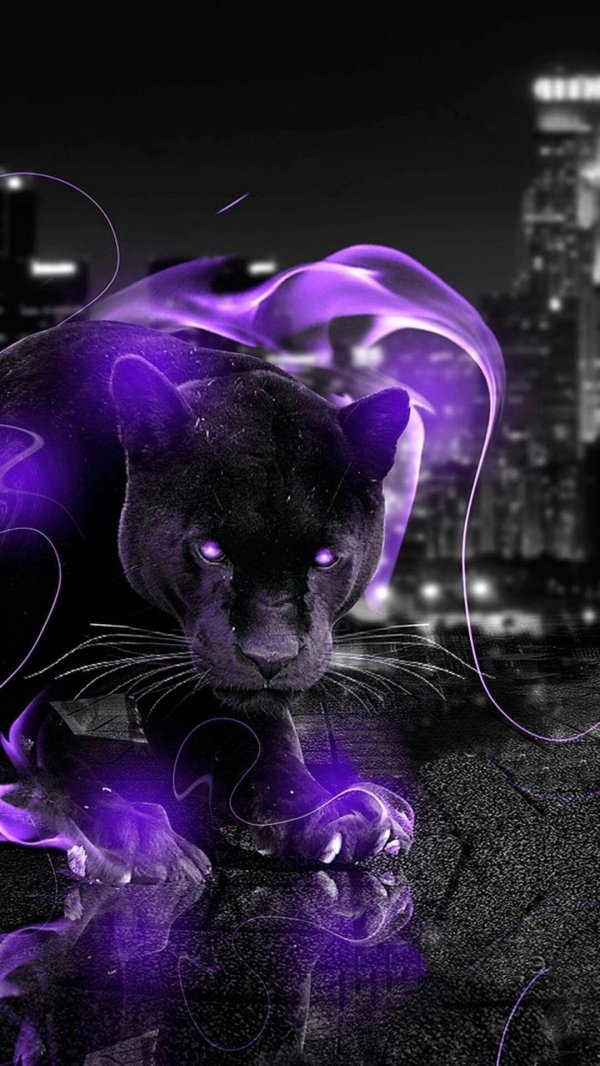 сиреневая пантера