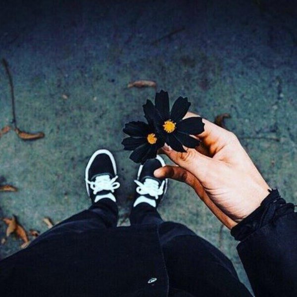 дерзкие цветы