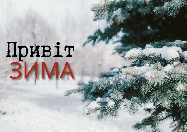 зима природа
