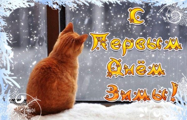 поздравляю с первым снегом