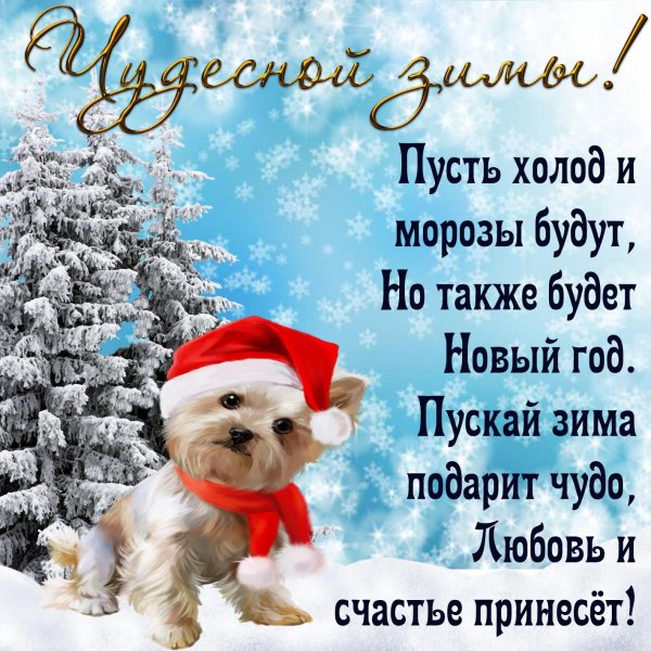 пусть новый год принесет