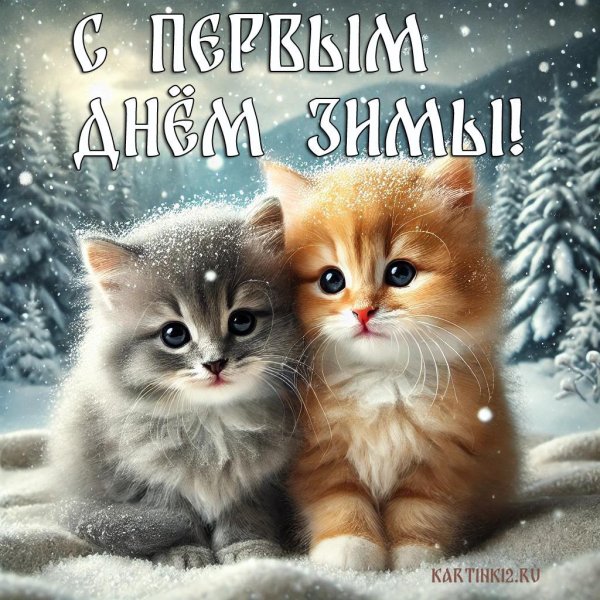 котики милые