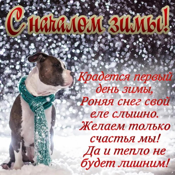 первый день зимы