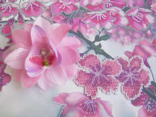 орхидея картина