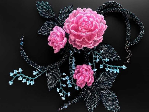 казари сакуиро