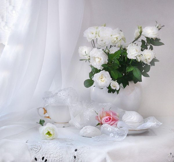 натюрморт с белыми цветами