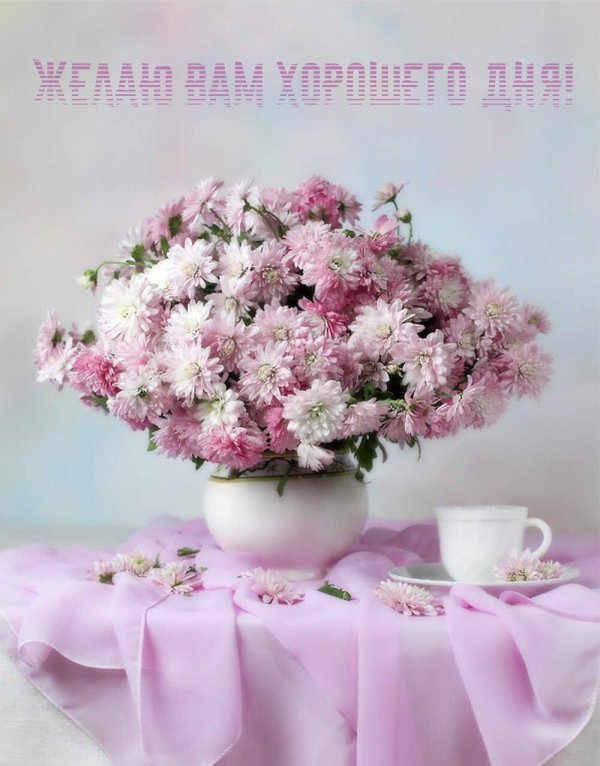 фотонатюрморты татьяны долженковой