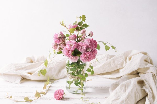 цветок нежный