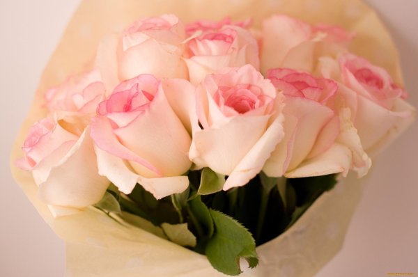 букет нежных роз