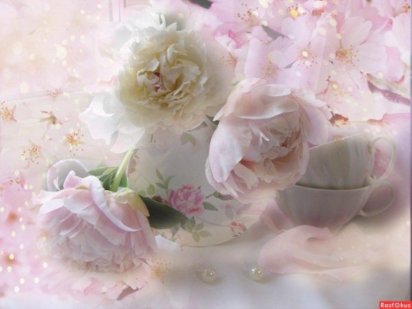 луиза гельтс натюрморты